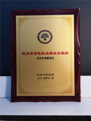 2017年杭州市示範性品牌社會組織