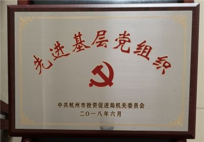 2017年先進基層黨組織