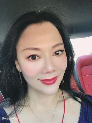 趙鴿